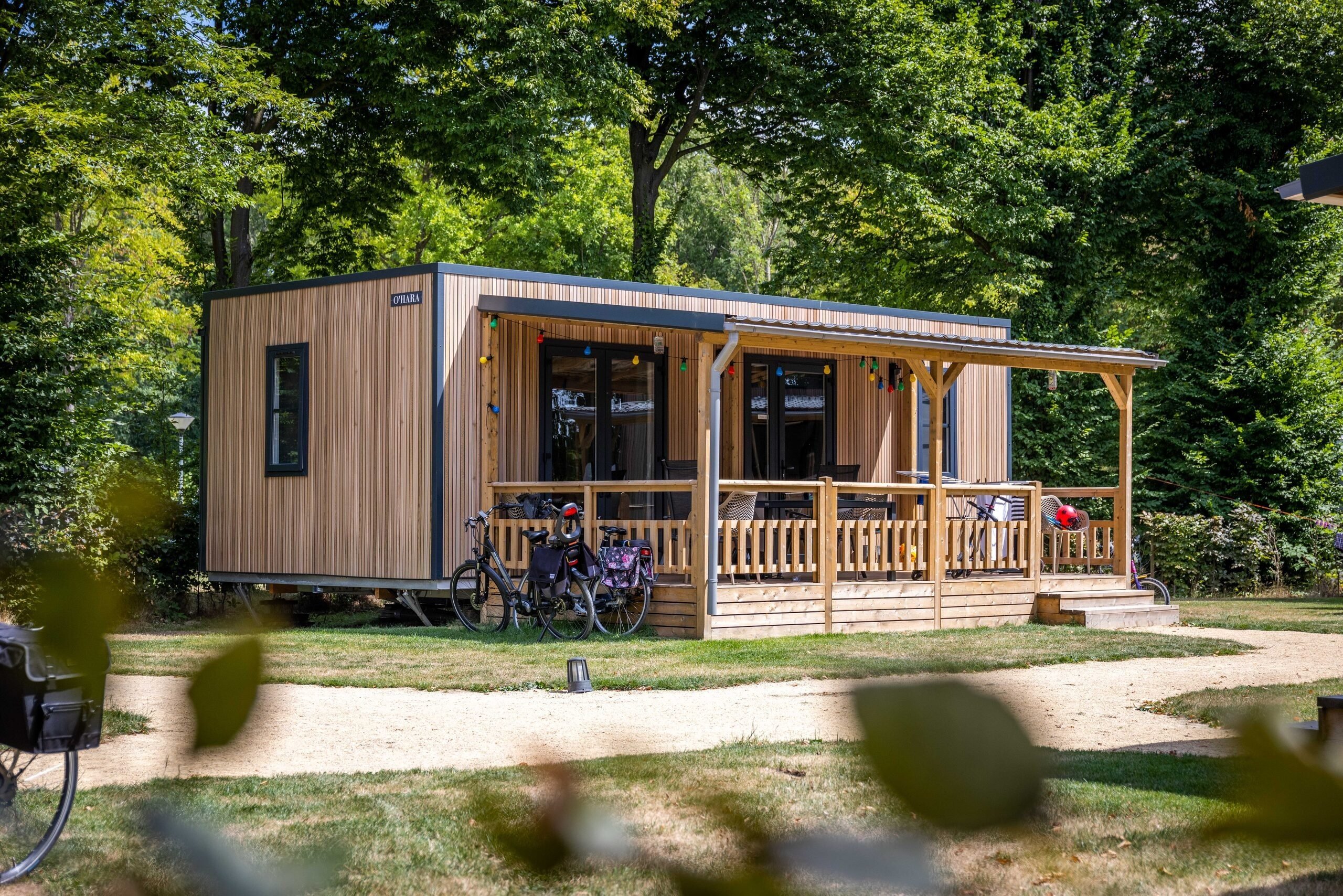Luxuriöse Glamping- Waldhütte