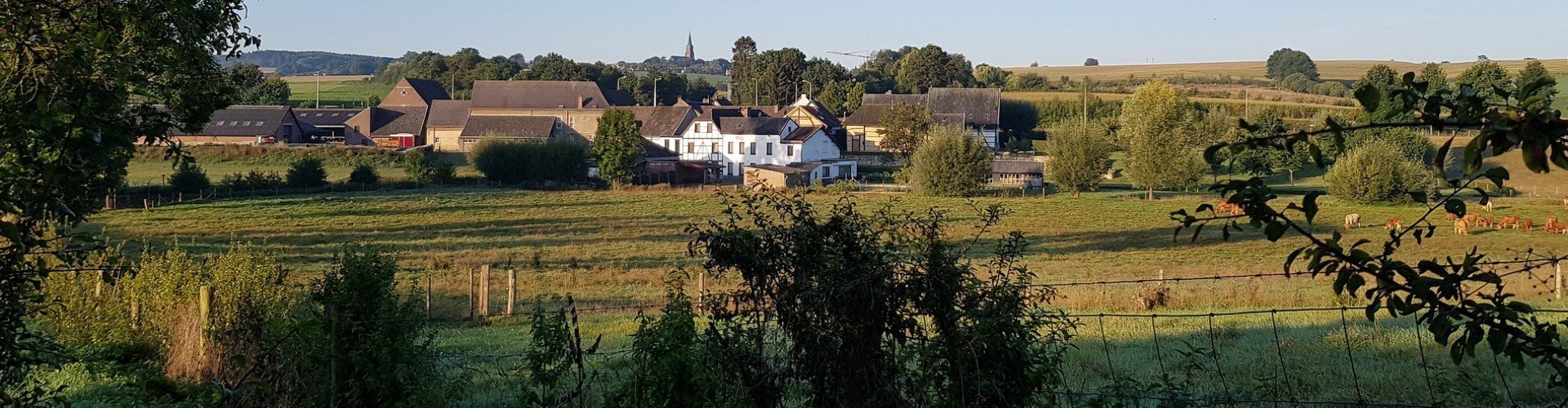 South limburg 44493051920