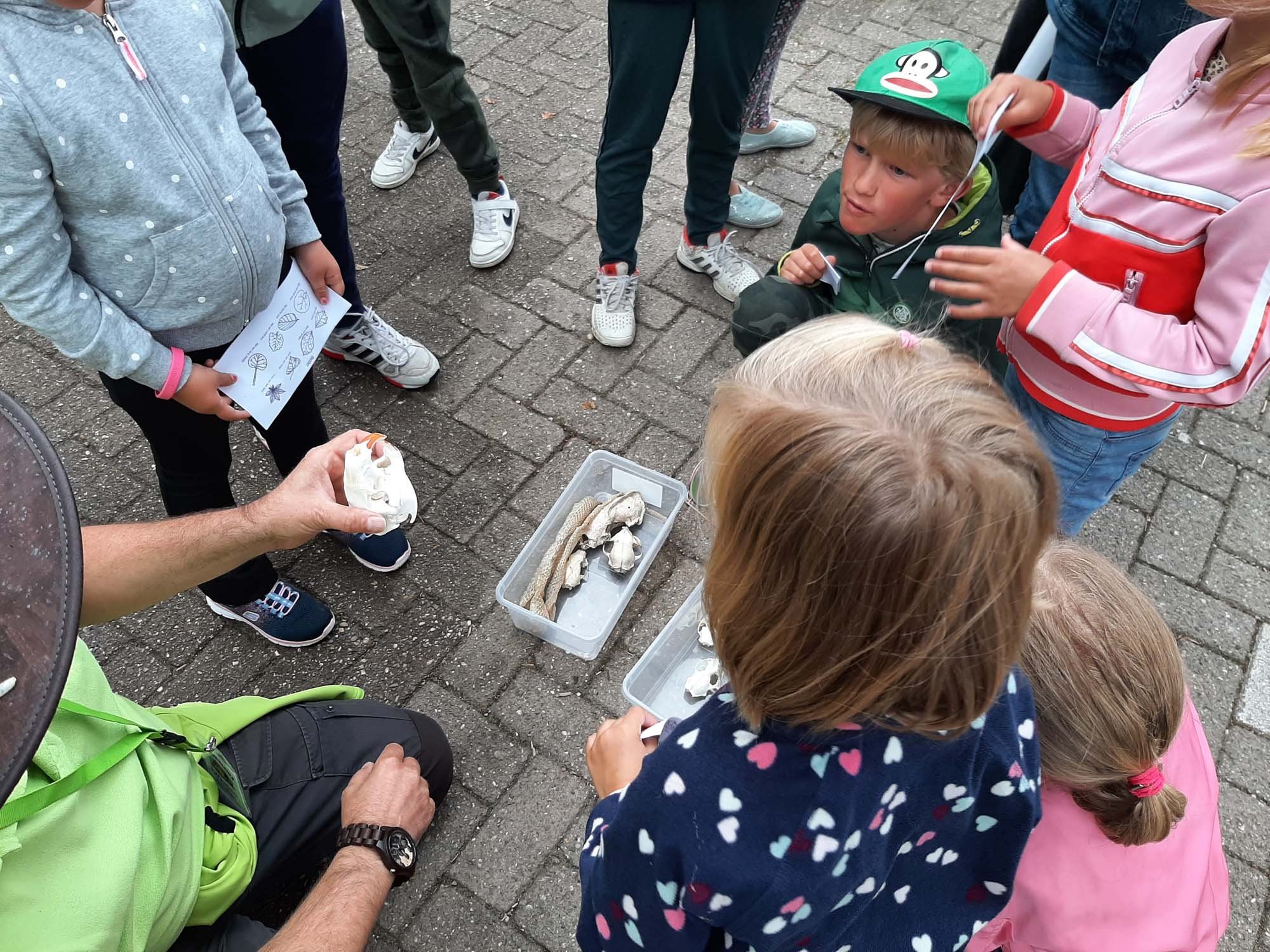 Wandelen in limburg 6