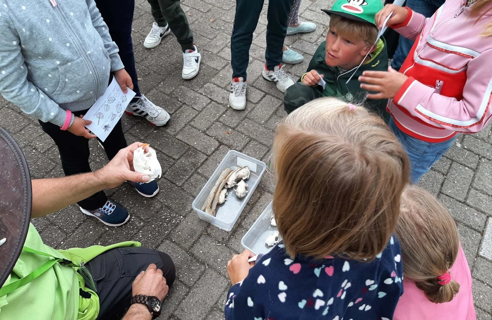 Wandelen in limburg 6